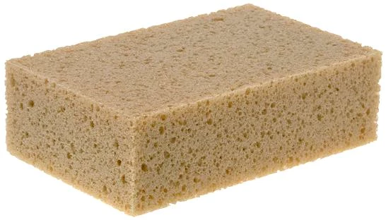 Svamp KGC 5982 / 5983